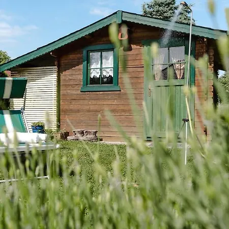 Ferienhaus Calm & Relax Holiday home